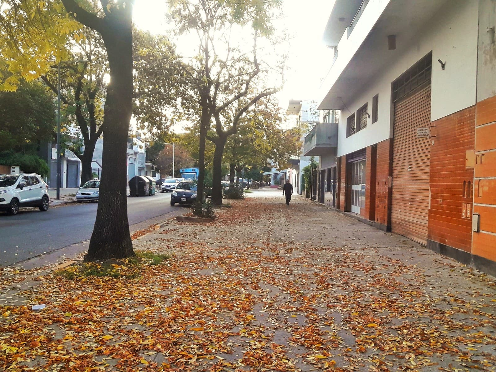 Calle arbolada de Villa del Parque en otoño, con la vereda cubierta de hojas y edificios bajos