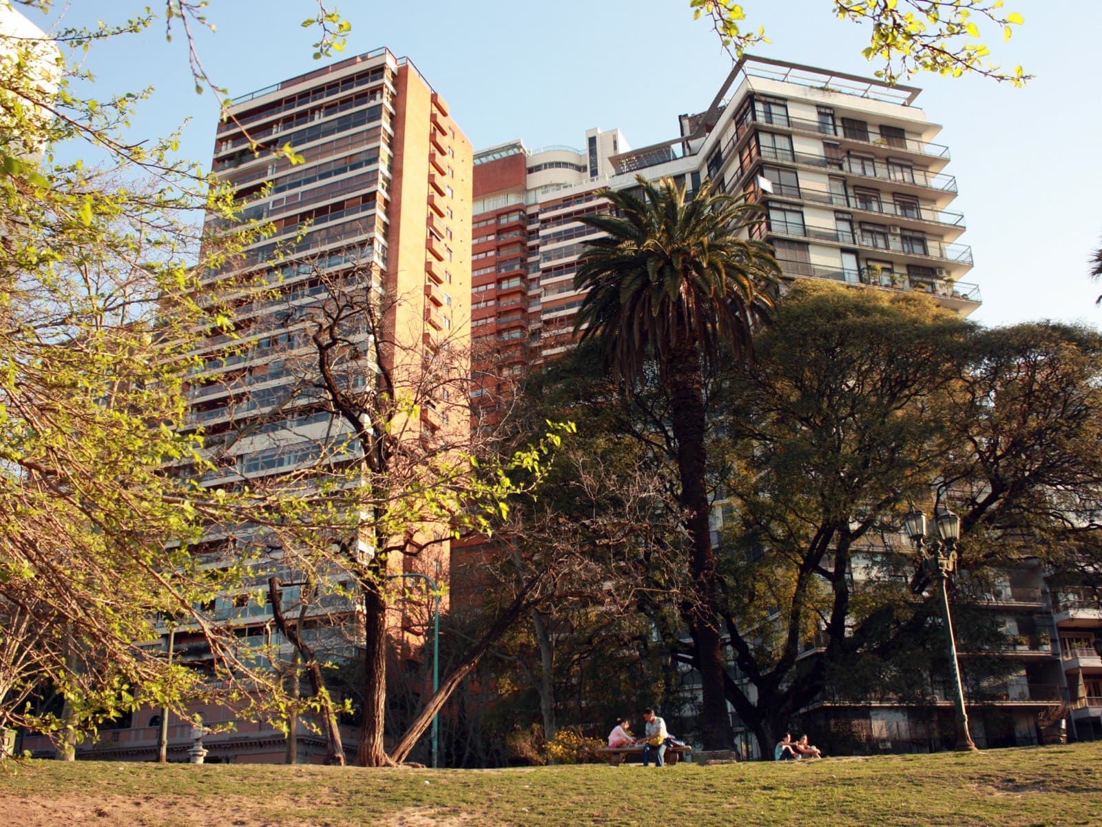 Torres de departamentos asomando entre los árboles de las Barrancas de Belgrano